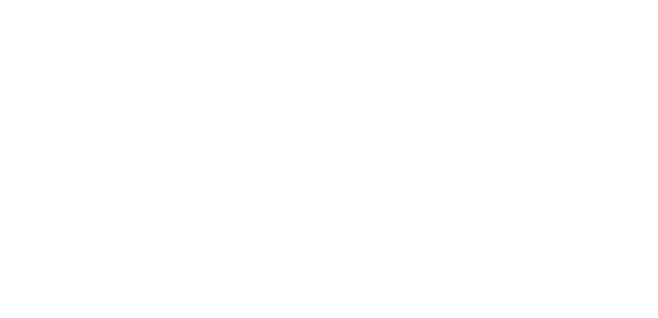 LOGO ANIVERSARIO GAPSA-OK logo 30 años